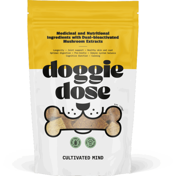 Doggie Dose: Functional Mushroom Dog Treats